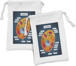 Ambesonne Science Fabric Pouch Set of 2, Science at Cell of an Animal Colorful Display Studies Nucleus, Small Drawstring Bag for Toiletries Masks and Favors, 9" x 6", Multicolor