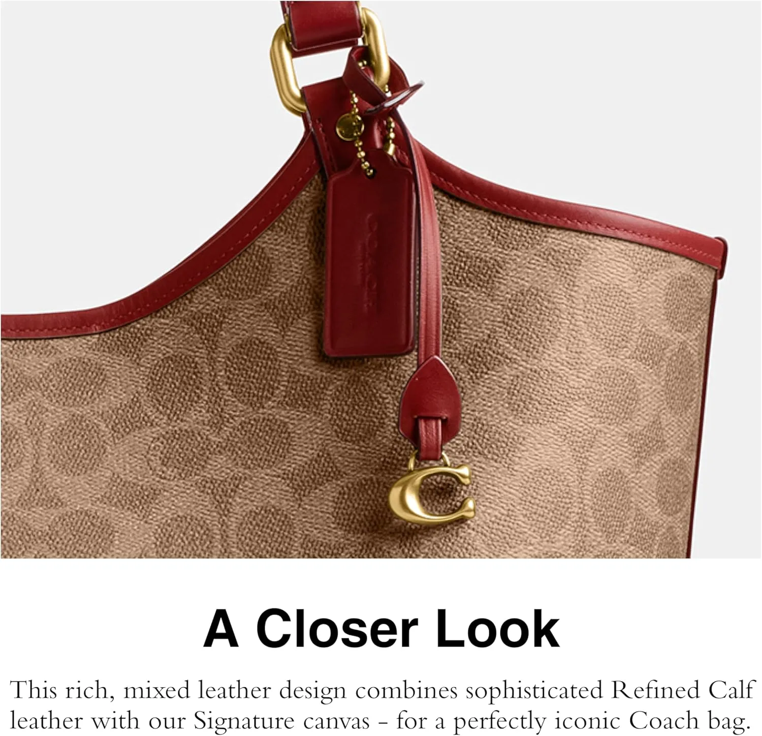 COACH Day Tote