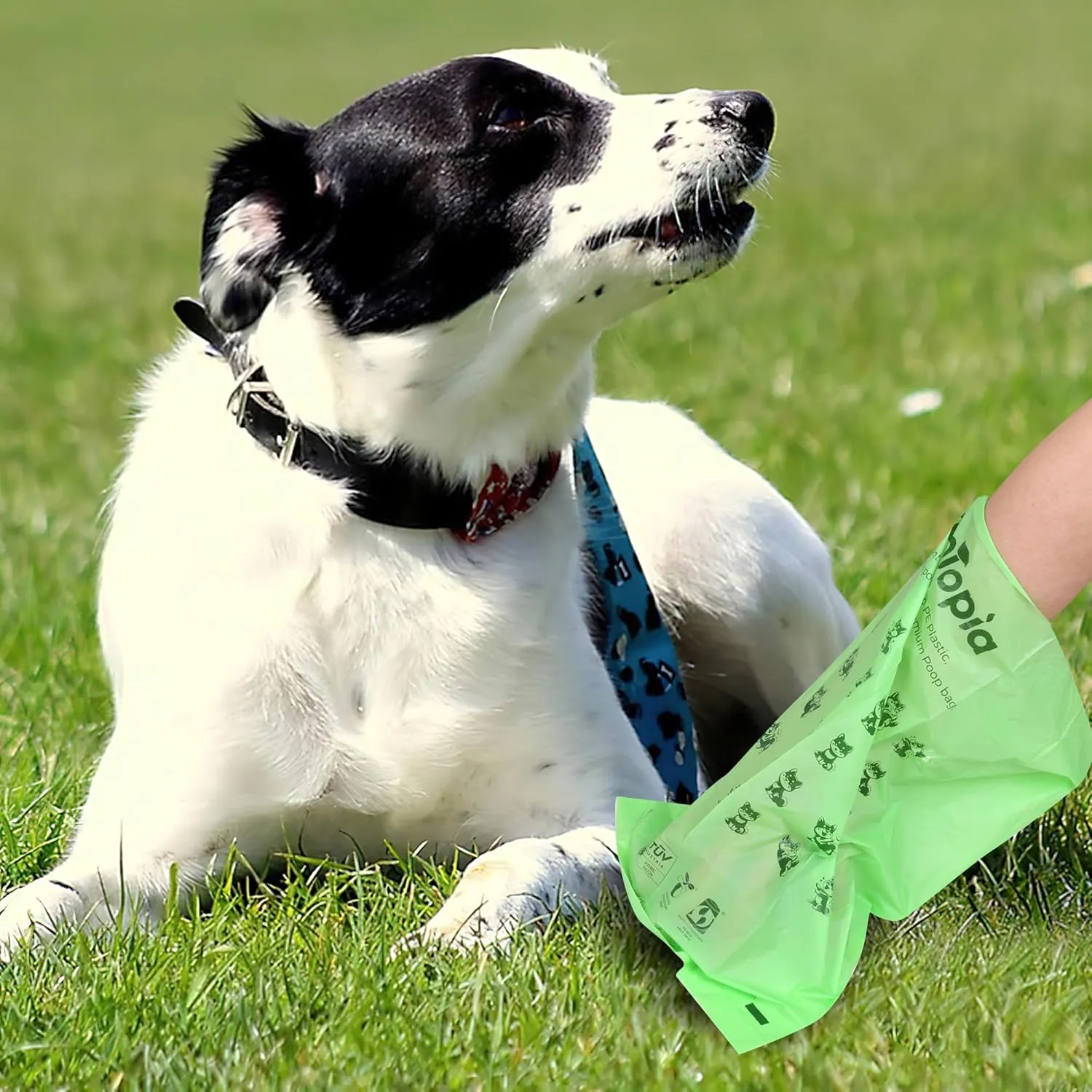 Extra 20% Thicker Dog Poop Bags (No Tearing Needed),100% Certified Biodegradable Poop Bags for Dogs,Compostable Dog Waste Bags,Cat Litter Bags,ASTM D6400 & EN 13432 Compliant,120 Bags,Dark Green